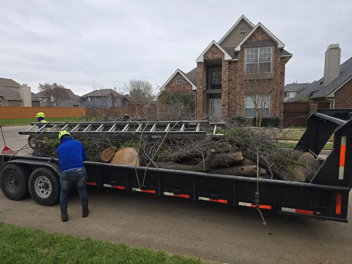 Expert Tree Fertilization with proper safety equipment in Polkton
